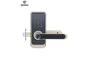 F6 apartment lock